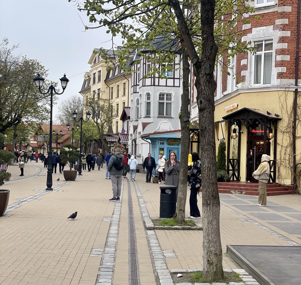 Курортная улица