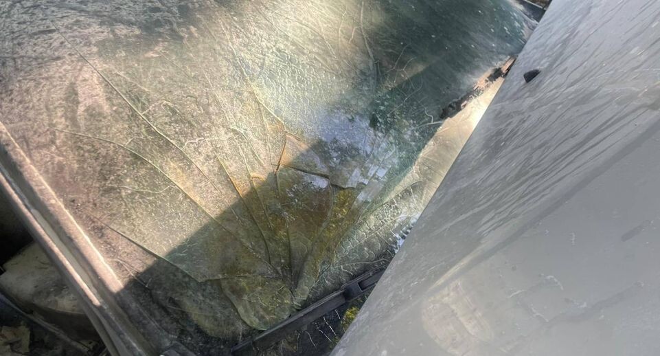    ГСУ СК России по Московской области / Telegram