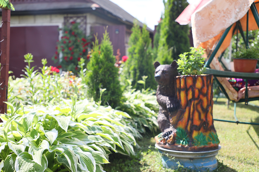     На Копыльщине традиционно проходит конкурс “Лучшее ветеранское подворье-2024” (Большой фоторепортаж)