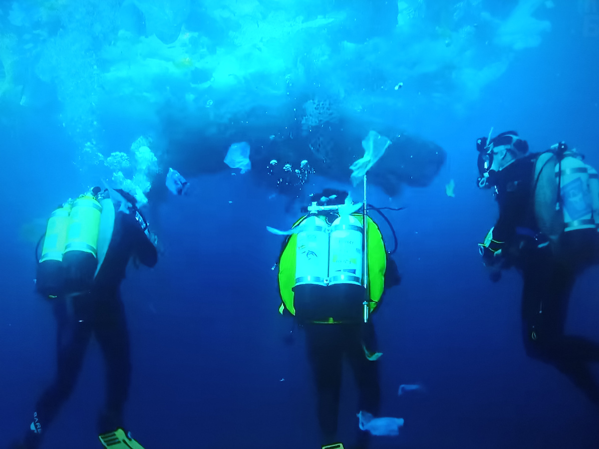 Команда морских биологов исследует тело погибшего детёныша кита. 