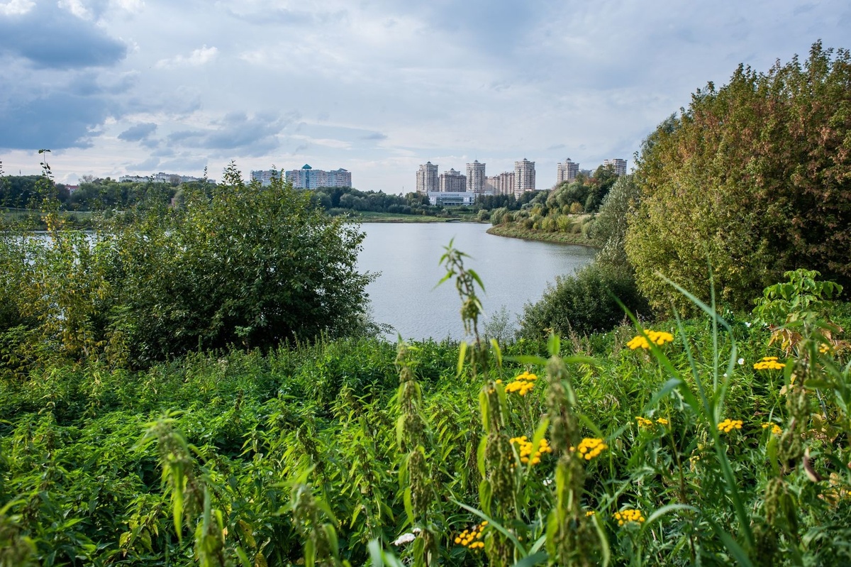 Борисоглебское озеро