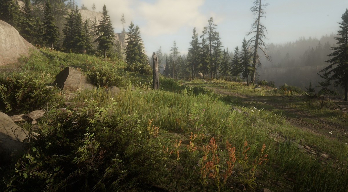 Red Dead Redemption 2