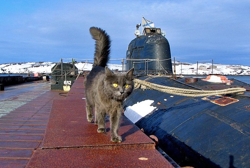 Парадоксы природы
