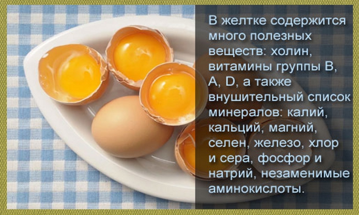 Какие витамины в яйцах вареных. Чем полезен желток для ребенка. яйцо полезные вещества. витамины в вареном желтке.