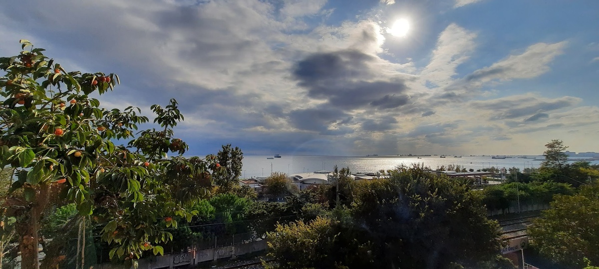 Из-за железной дороги под окнами квартиру хозяин сдавал практически за бесплатно - 25 € в сутки