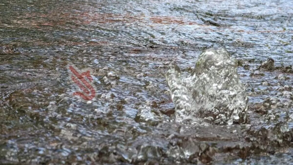     Источник: Читатель Inkazan