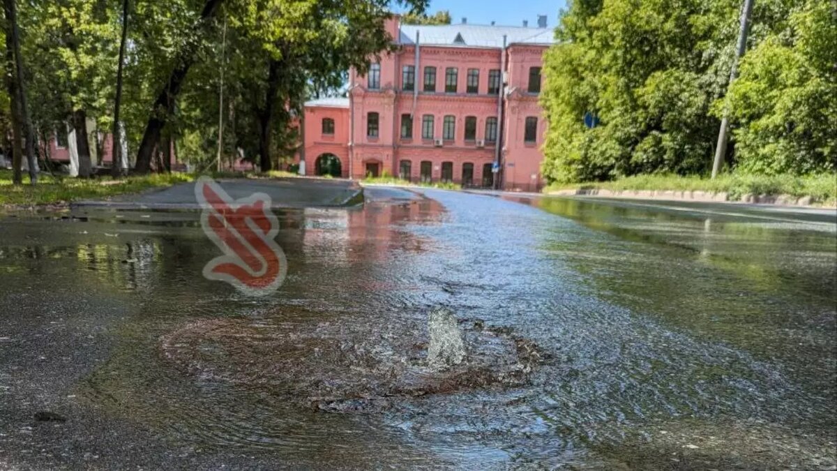     Источник: Читатели Inkazan