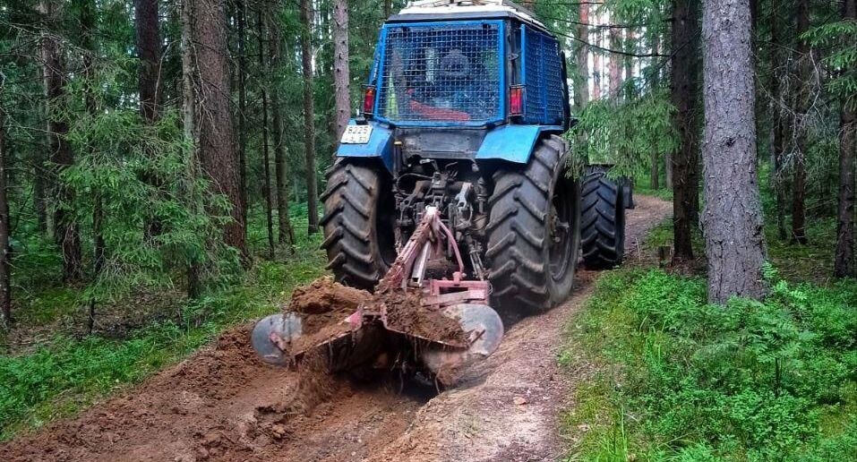    Комитет лесного хозяйства Московской области