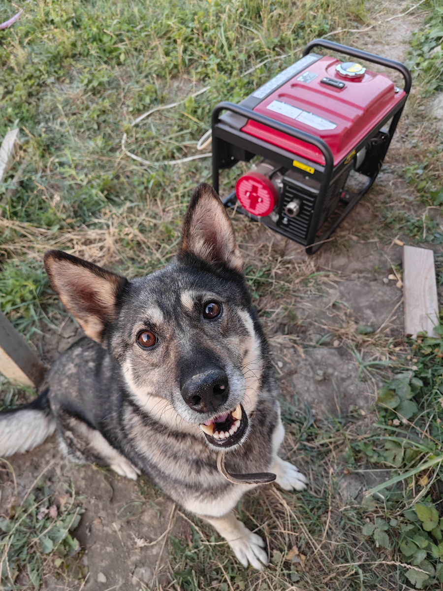 Главный мастер