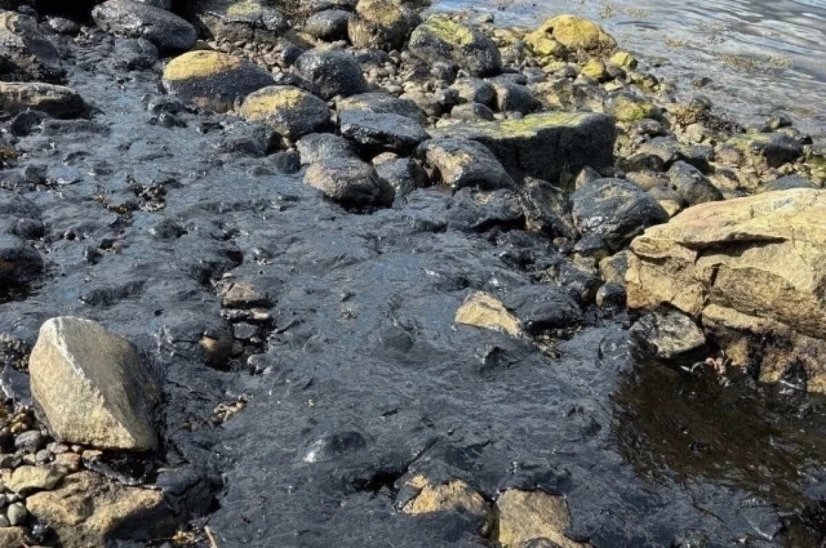    Режим повышенной готовности ввели в Коле после разлива нефтепродуктов