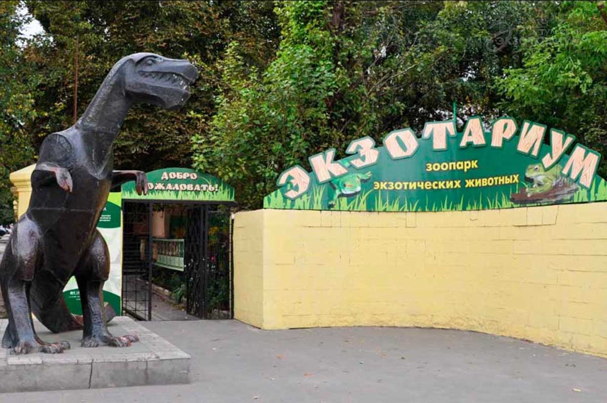 Фото: Тульский областной экзотариум