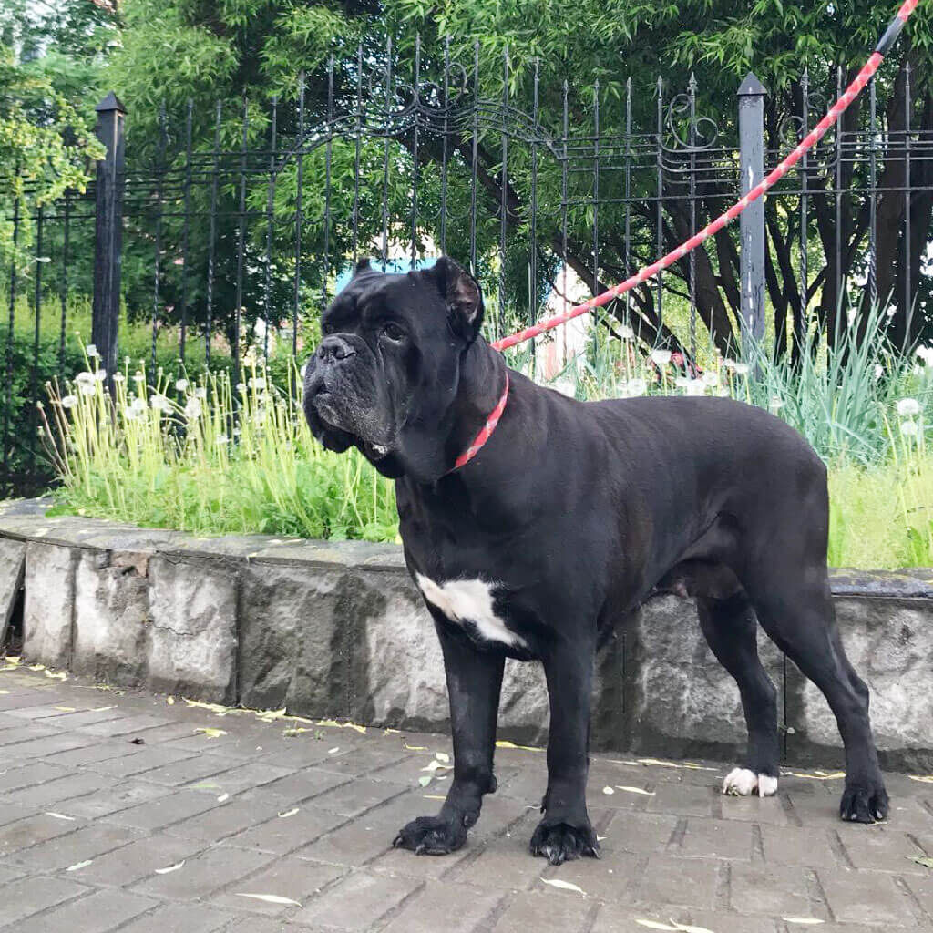 Фото из открытого источника