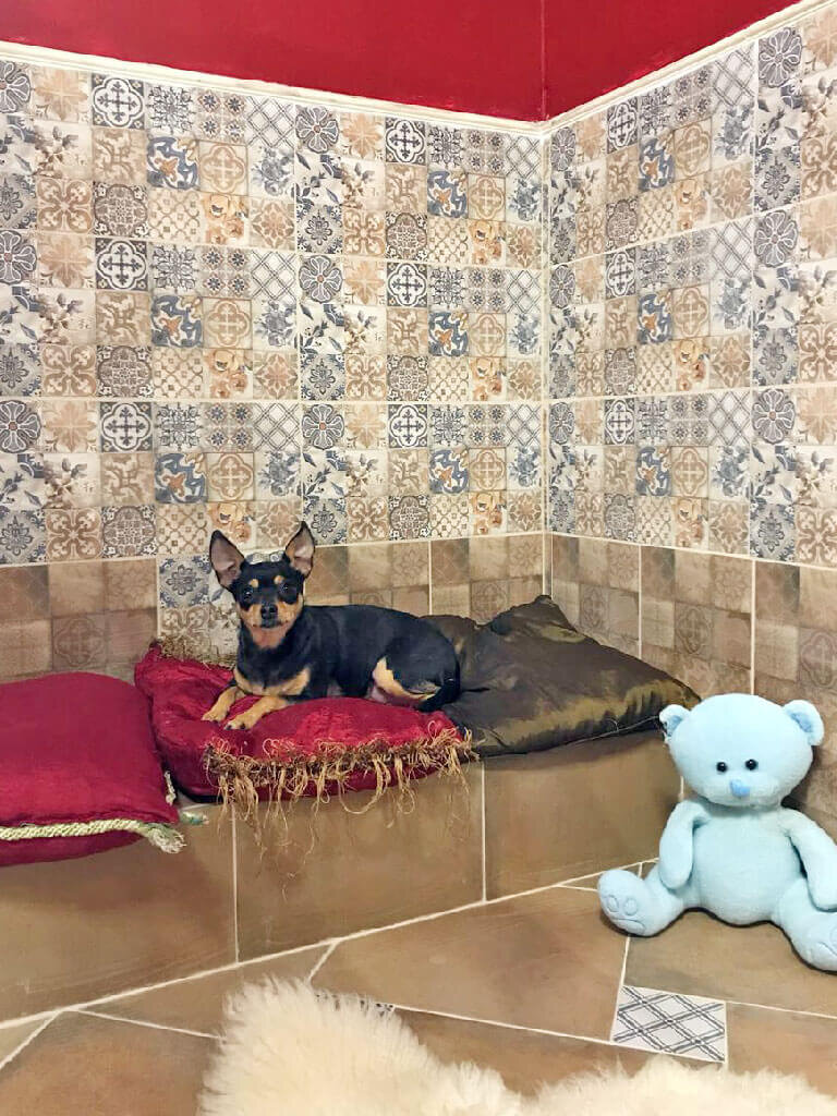 Фото из открытого источника