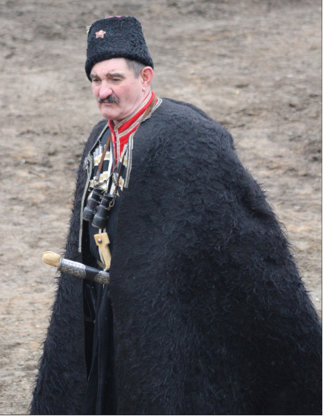 Красный командир казачьего полка