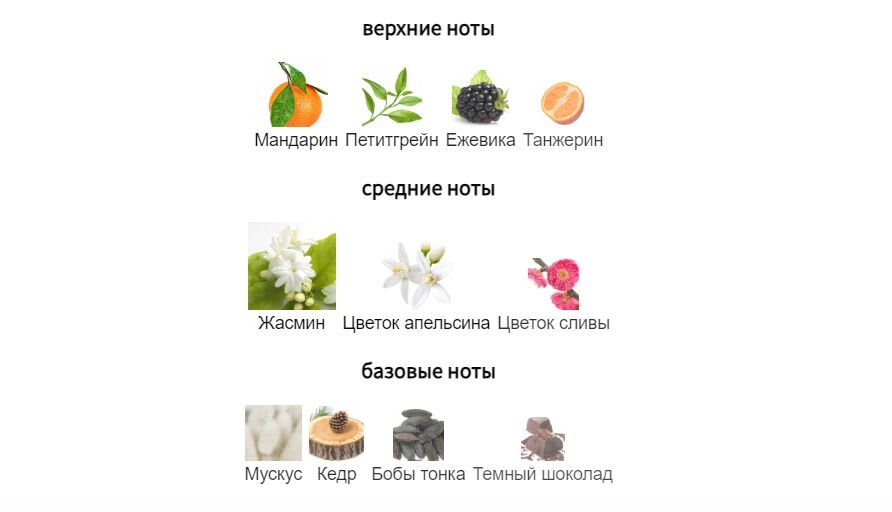 fragrantica.ru