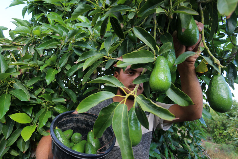 Фото: Zuma / TASS