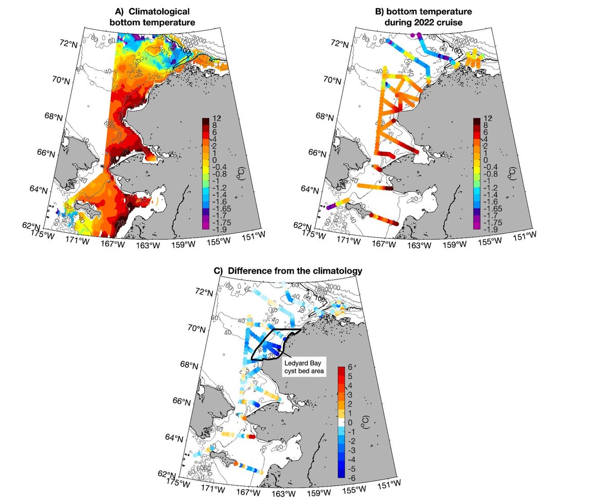    A) Климатологическая летняя температура дна по историческим данным (1970 – 2020 гг.). B) Придонные температуры, измеренные во время рейса 2022 года. C) Разница между 2022 годом и климатологией. Область дна залива Ледьярд выделена черным цветом / © Limnology and Oceanography Letters, Evangeline Fachon et al.