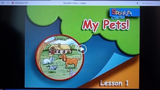 Запись № 16 Spotlight Starter 1 класс Английский в фокусе Мои питомцы Урок 1My Pets Lesson 1