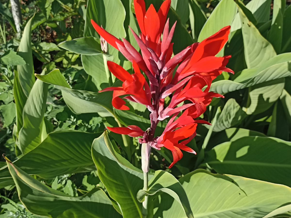 Канны. Фото автора