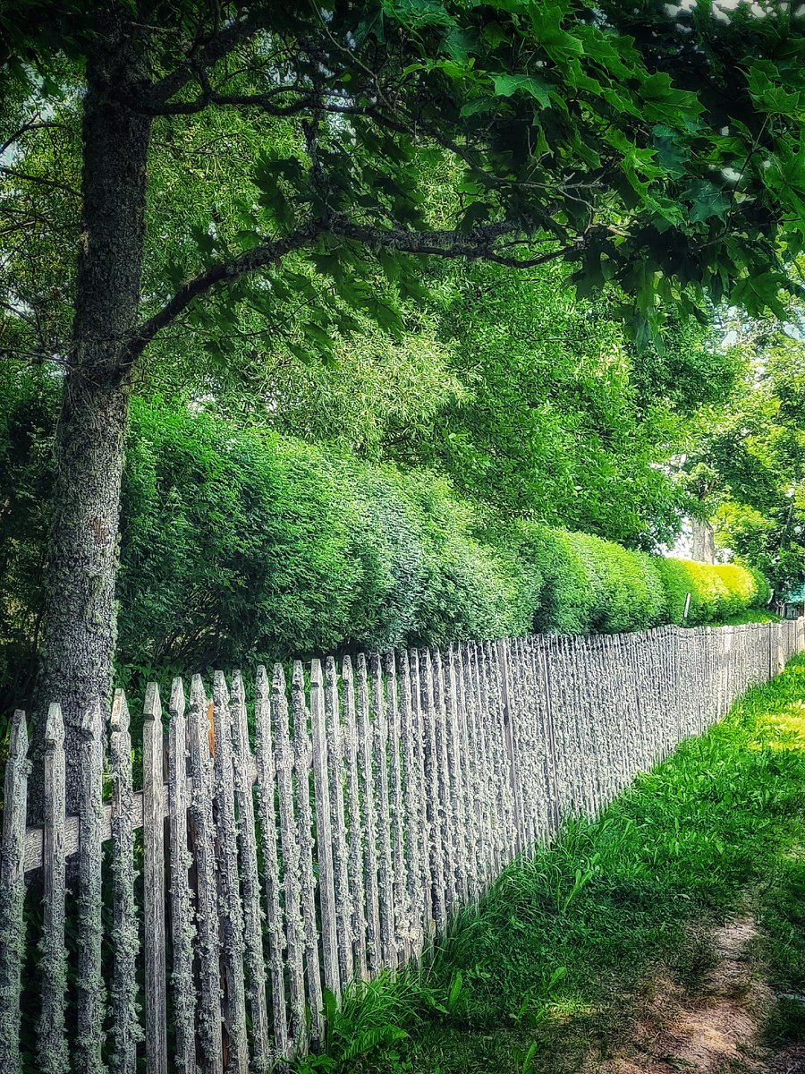 Лето красное потому. что оно раскалённое. Точно! А так оно зелёное)