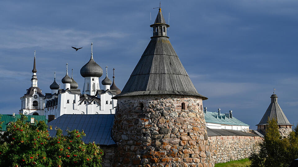 Фото: © ТАСС/Лев Федосеев