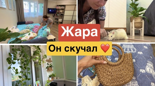 Мы дома❤️ Что с ценами? Уборка / Семья / Дом!