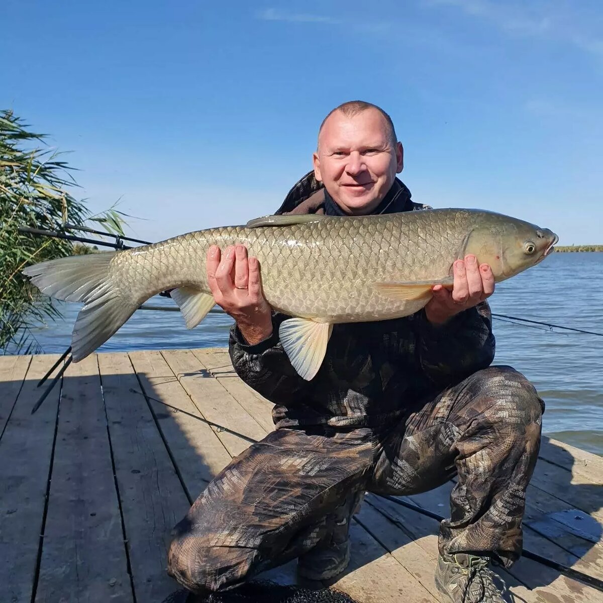     Автор: Яндекс. Карты Источник: 4 ПСО по РО