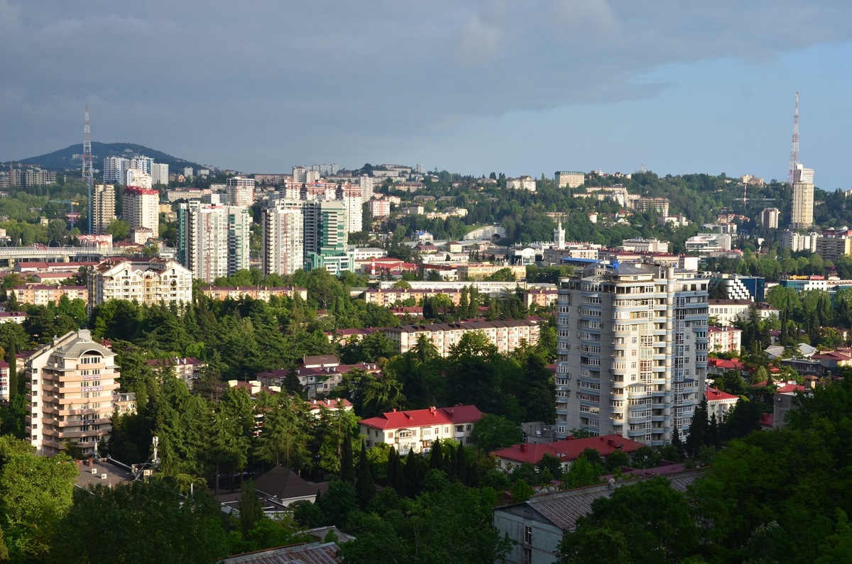    Фото: Telegram/Сочи Официальный