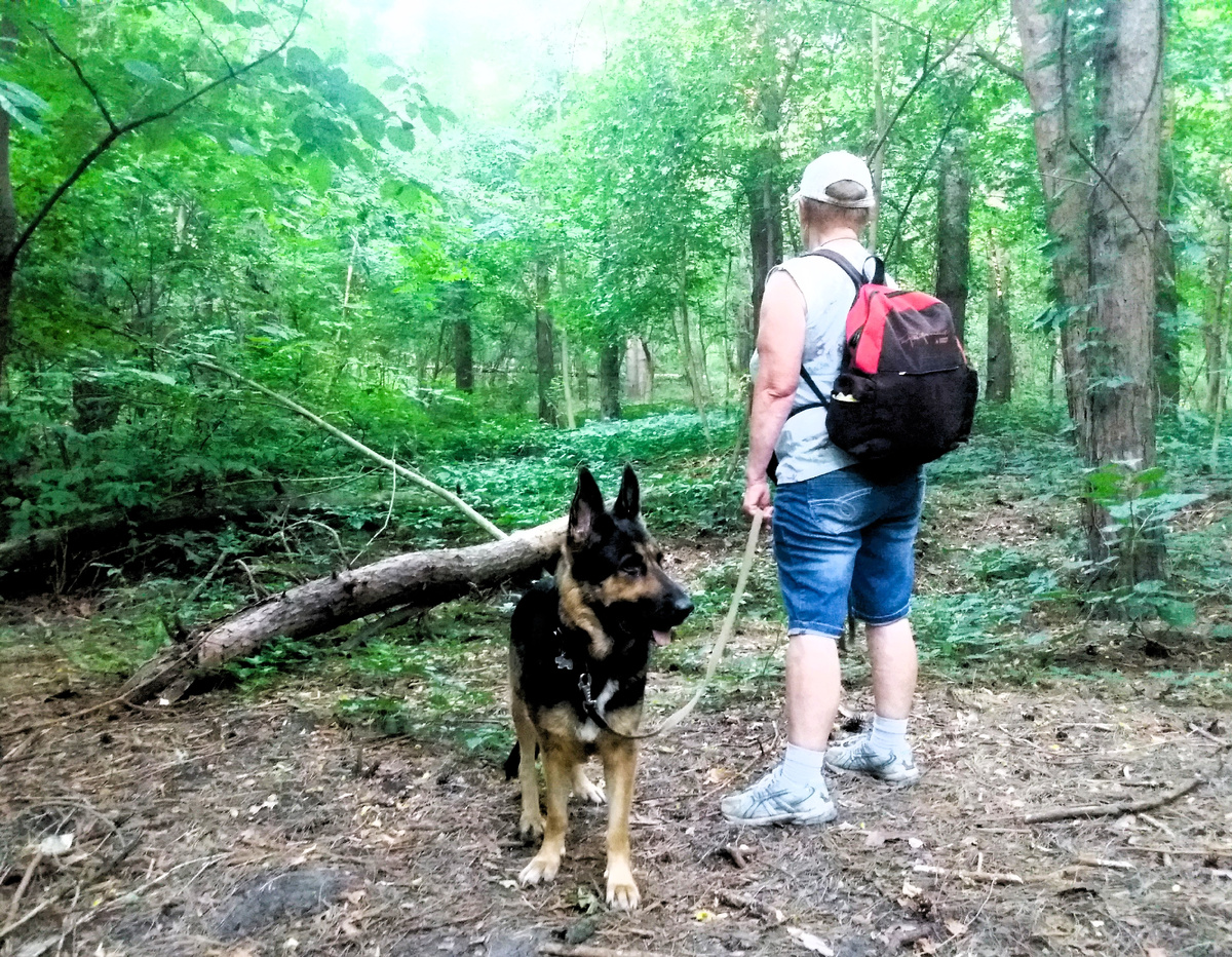 Фото автора