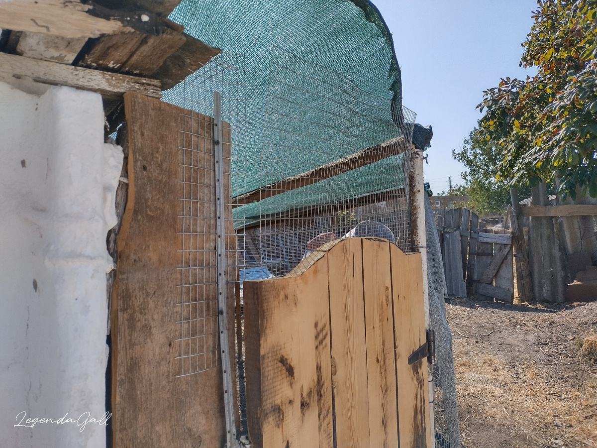 Сетка на двери. Все равно дырочка есть, надо думать, как ее закрыть