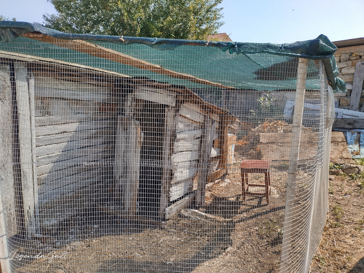 Загон накрыт