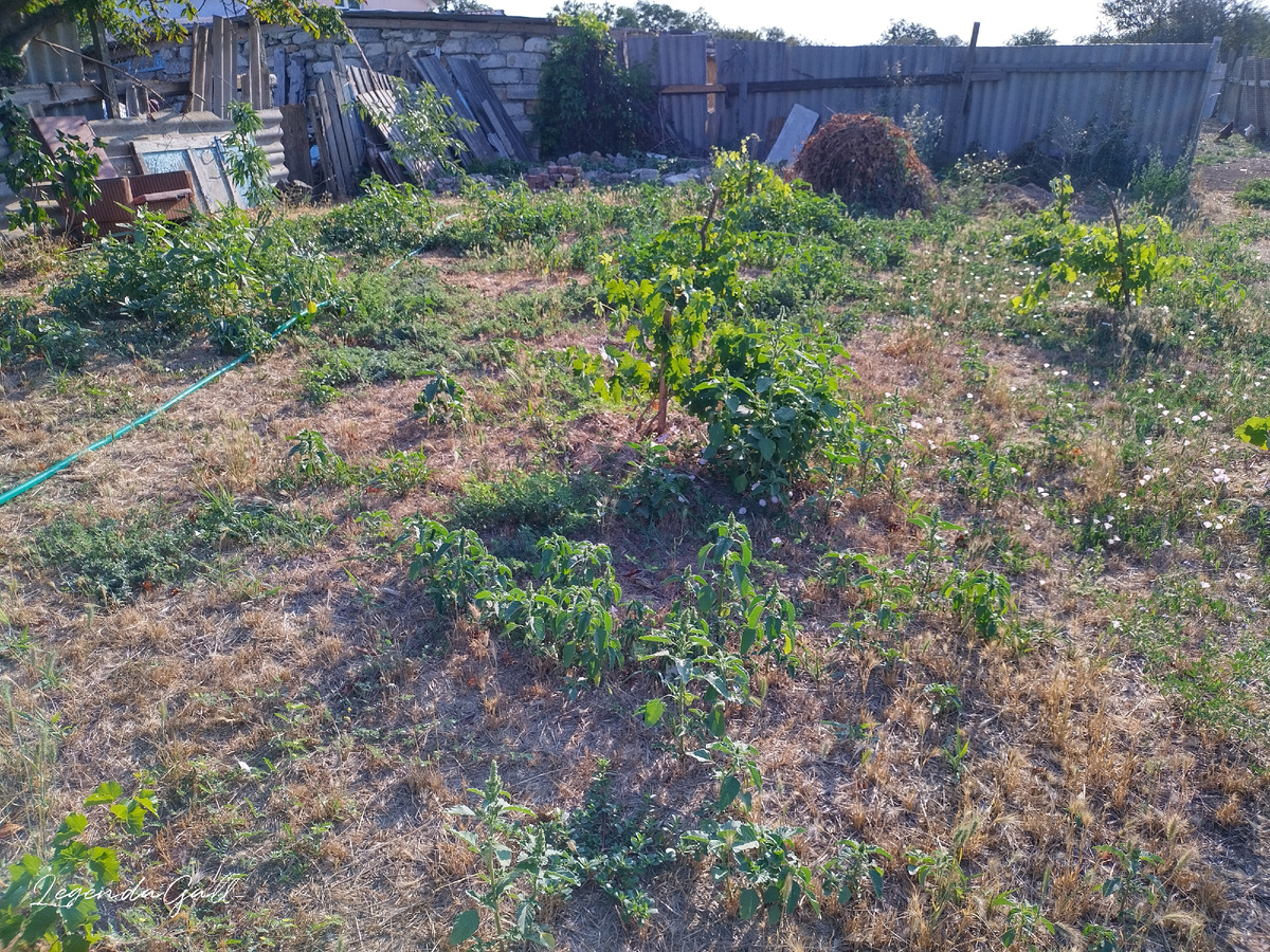 А вот это еще предстоит почистить