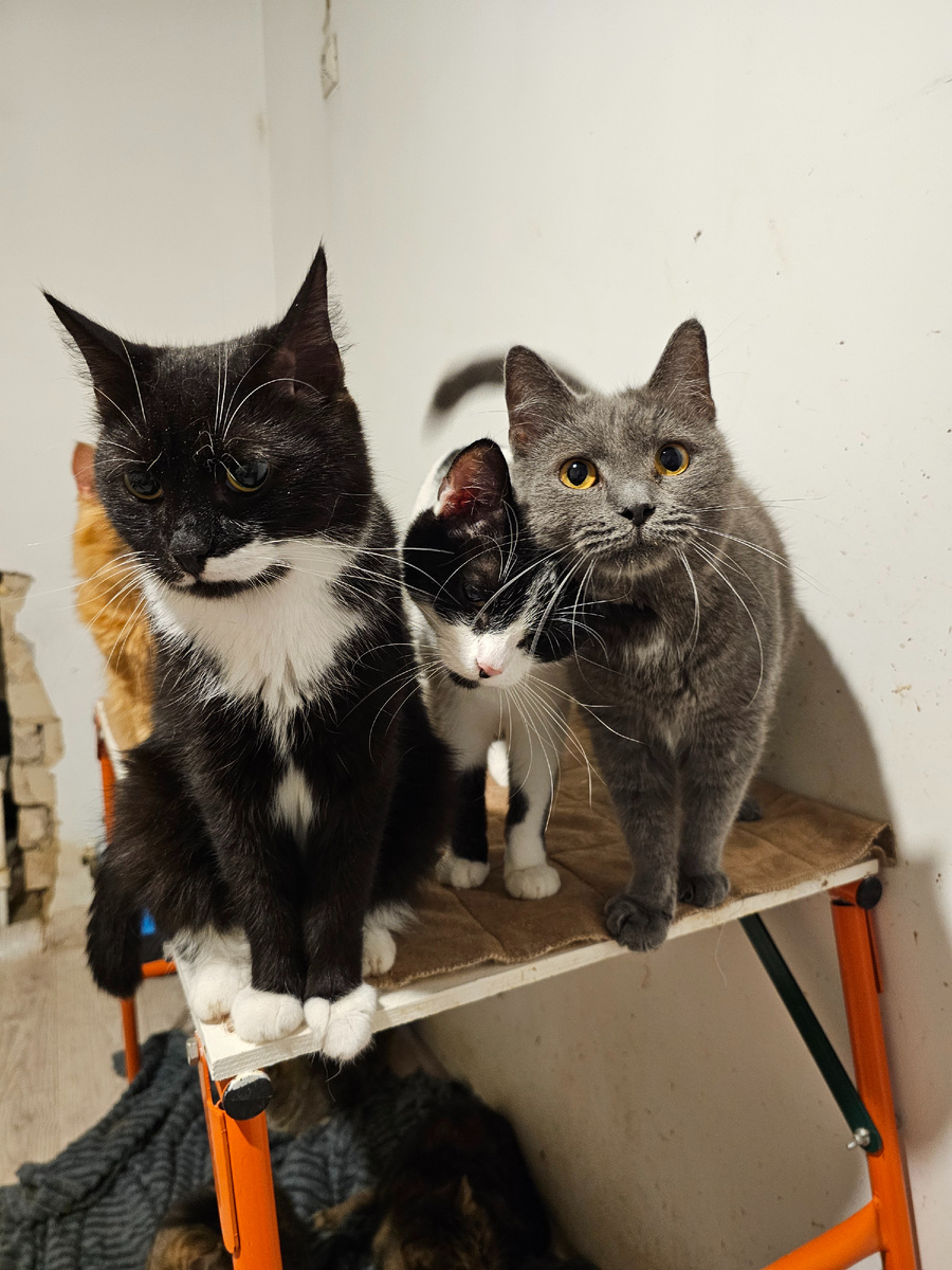 Фото автора. Ребятки.