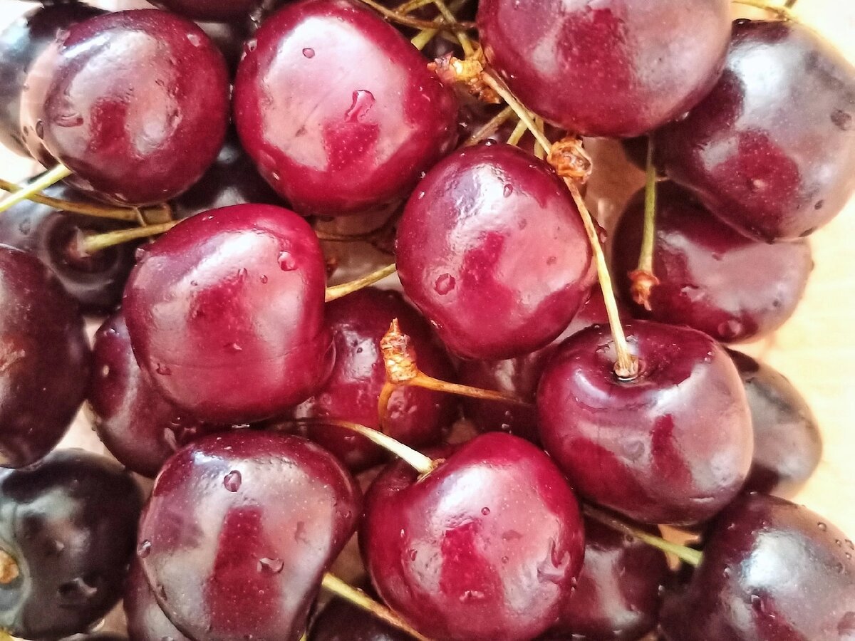 Черешневое лето. Воронеж в июле