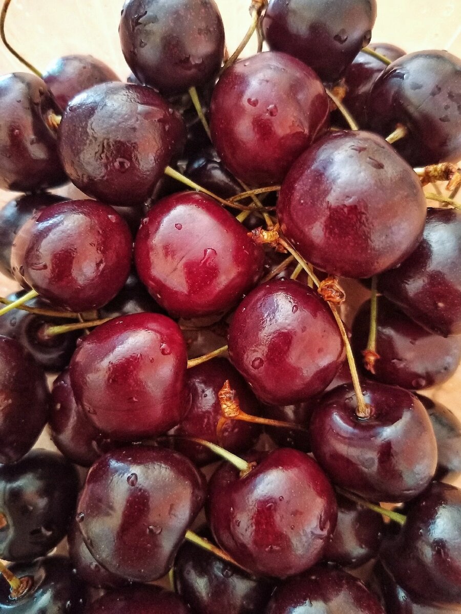 Черешневое лето. Воронеж в июле