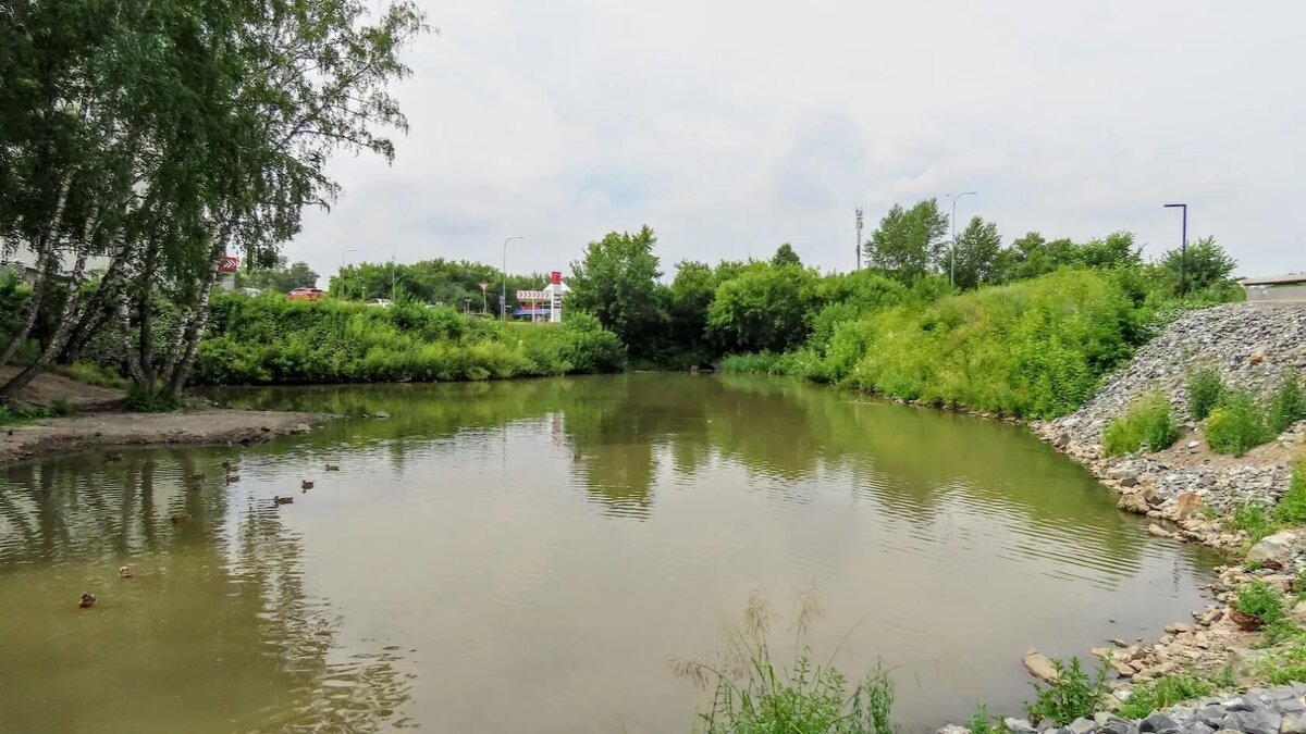 Где тут пруд. Где тут пруд. Где тут пруд. Где тут пруд. Пруд васюнино.