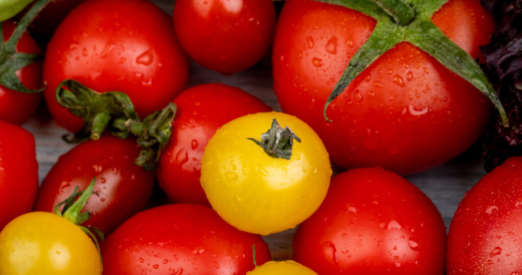 Агроном Березин назвал действительно стоящий сорт томатов для гурманов