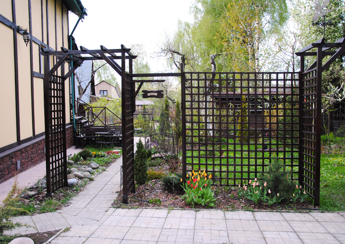 Мой сад весной 2024 г