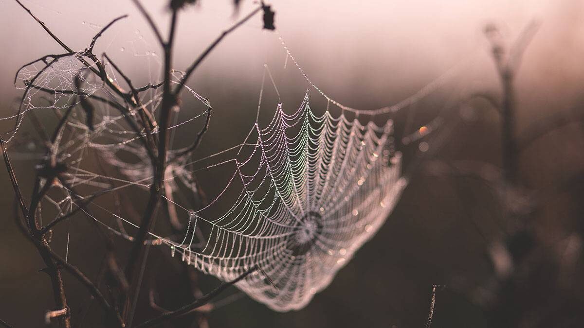    Фото: Unsplash