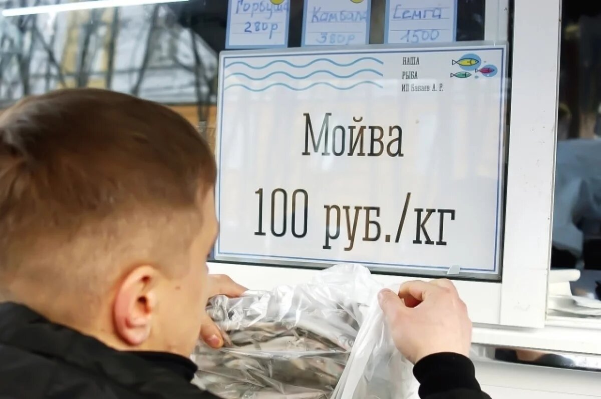    Центробанк: рыбаки Северо-Запада нарастили объемы вылова