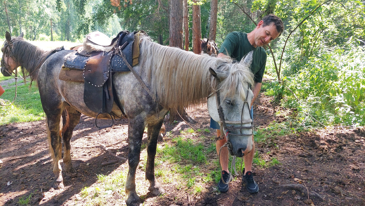 Вот захочешь специально сделать такой кадр - в жизни не получится!! Это фото - без малейшей обработки. Natalya Dolidenok 