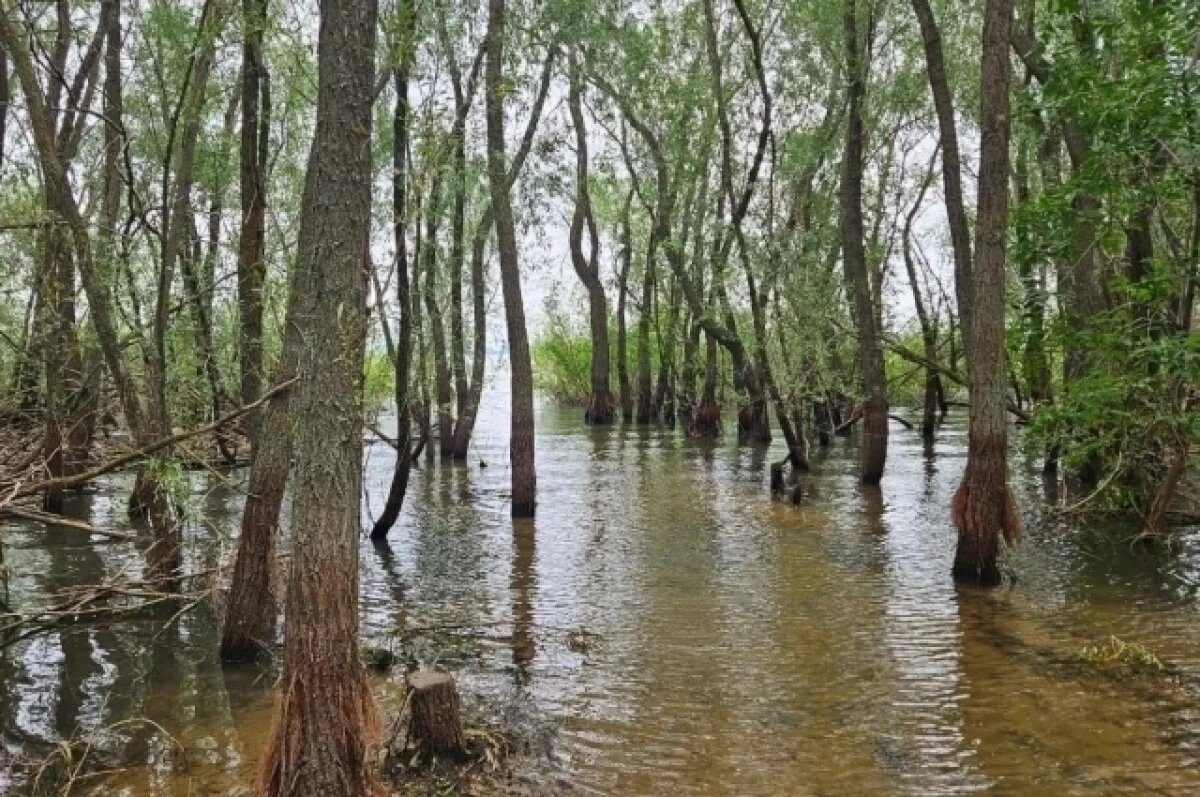    В Оренбуржье водохранилище проверили после новости о гибели рыбы