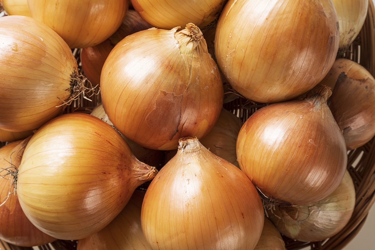    Stock for you / Shutterstock / FOTODOM