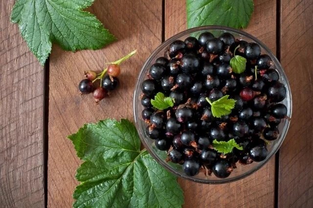    Что ни при каком раскладе нельзя делать в Сысоев день, 19 июля?