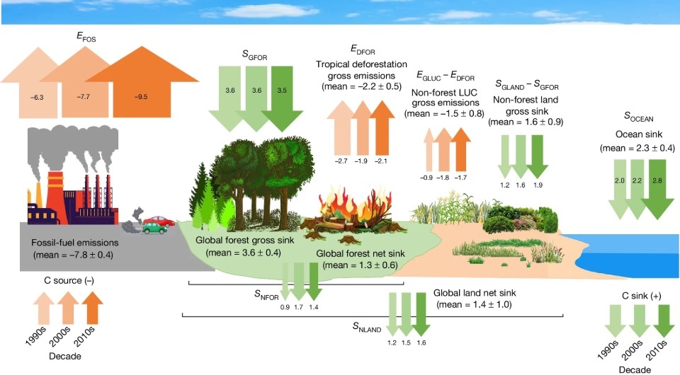   Yude Pan et al. / Nature, 2024