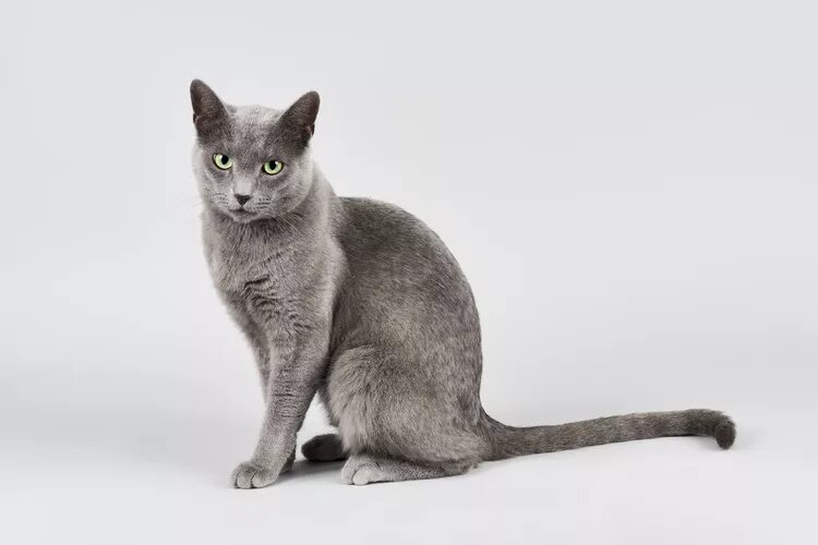  Эрих Шмидт / Getty Images