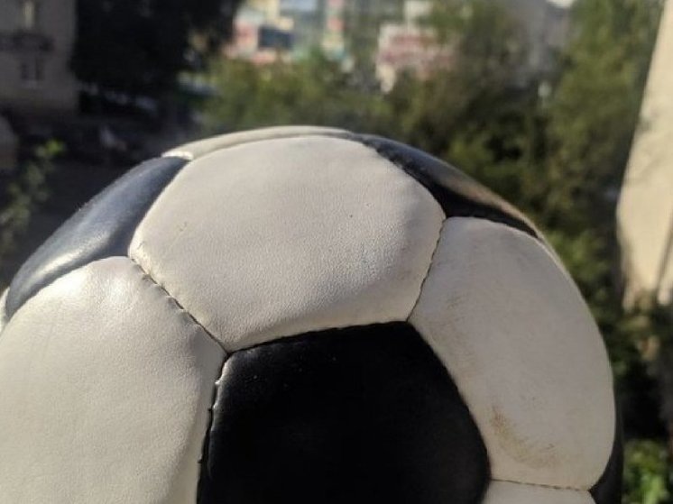     Фото: МК в Вологде.