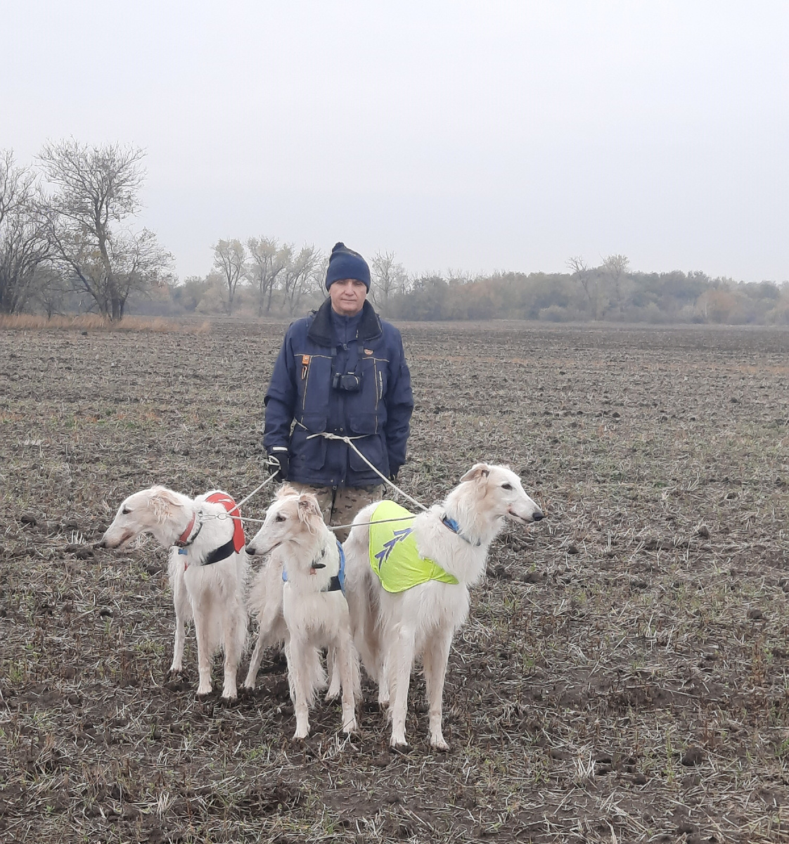 Наша свора: Быстра, Беста, Васарт Гумилев