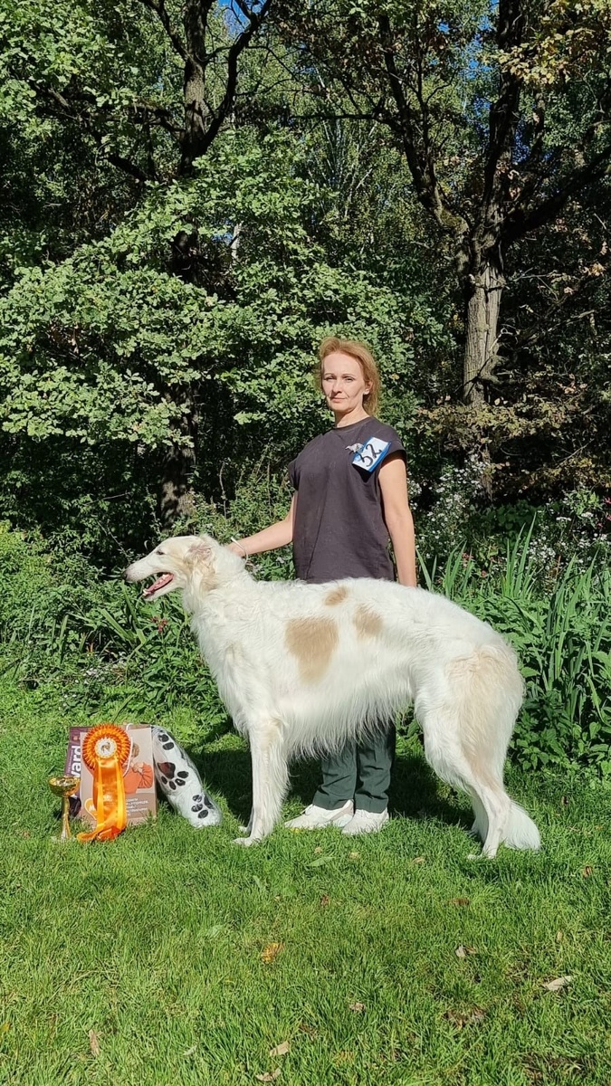 Гумилев - победитель средней группы на охотничьей выставке "Осенний Марафон"