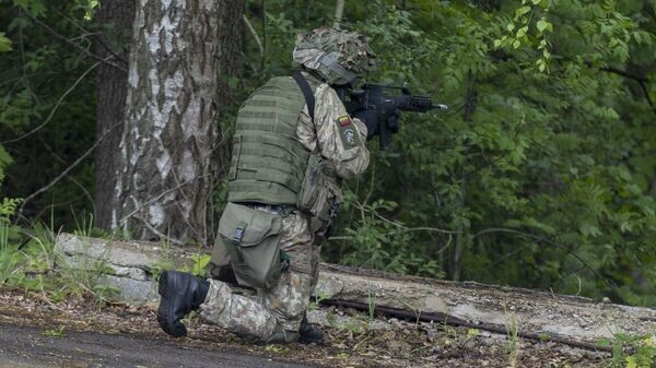    © Photo : Lietuvos Respublikos Krašto apsaugos ministerija / Karolio Kavolėlio